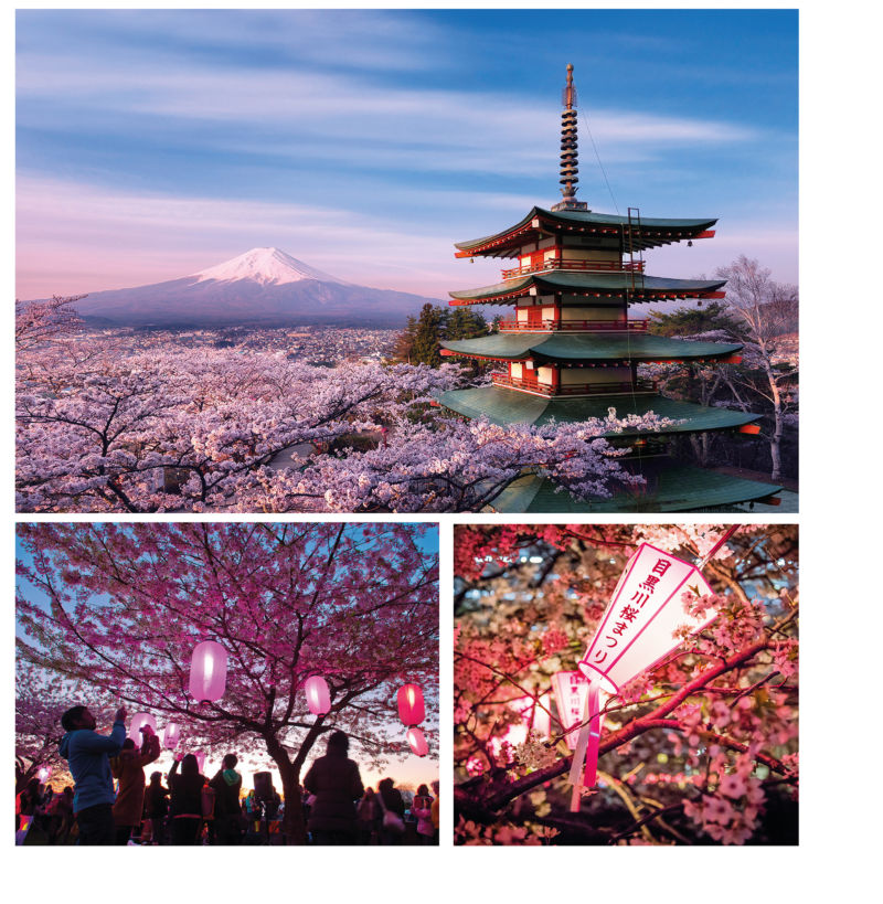 Sakura Japãp